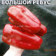 Сладкий перец Большой Ревус