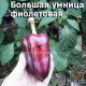 Перец сладкий Большая умница