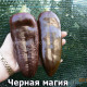 перец сладкий  Черная Магия