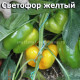 Сладкий перец Светофор желтый