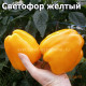Сладкий перец Светофор желтый