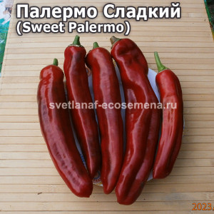 Палермо Сладкий (Sweet Palermo)