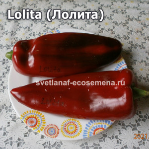 Lolita (Лолита)