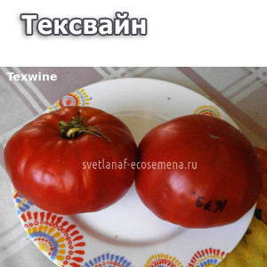 Texwine (Тихвин)