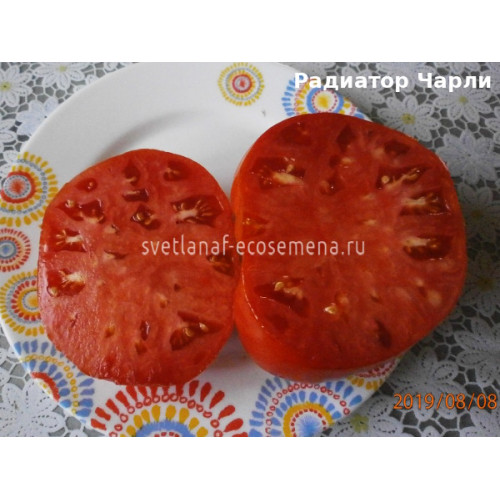 Радиатор Чарли