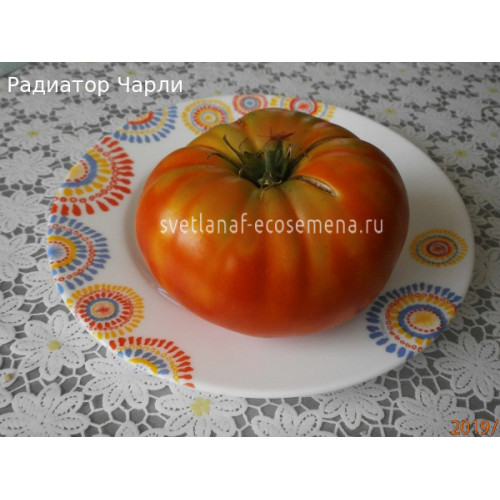 Радиатор Чарли
