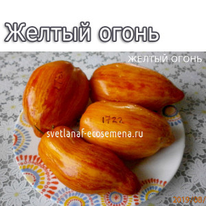 Желтый огонь (yellow fire)