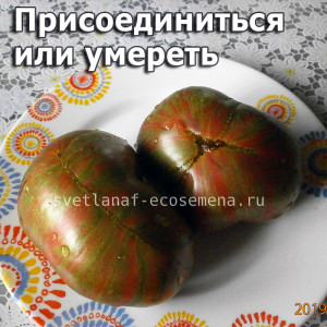 Join-or-die-x-beyond-verde-claro (Присоединиться или умереть)