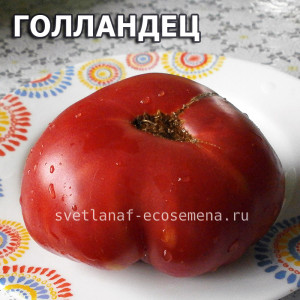 The Dutchman (Голландец)