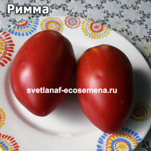 Rimma (Римма)