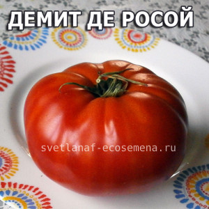 Demit De Rosoy (Демит Де Росой )
