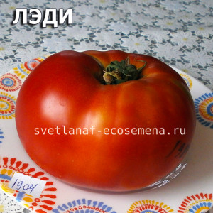 Lady (Леди)