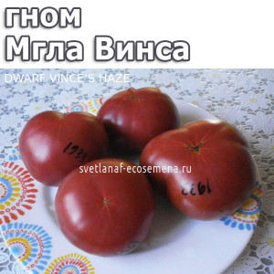 Dwarf Vince’s Haze (Мгла Винса)