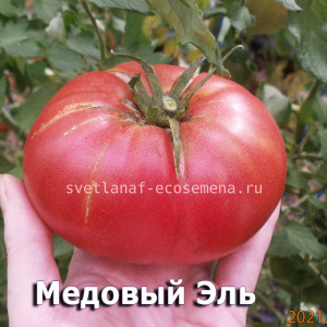 Muchamiel Ele, Медовый Эль