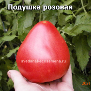 ПОДУШКА РОЗОВАЯ PODUSHKA PINK