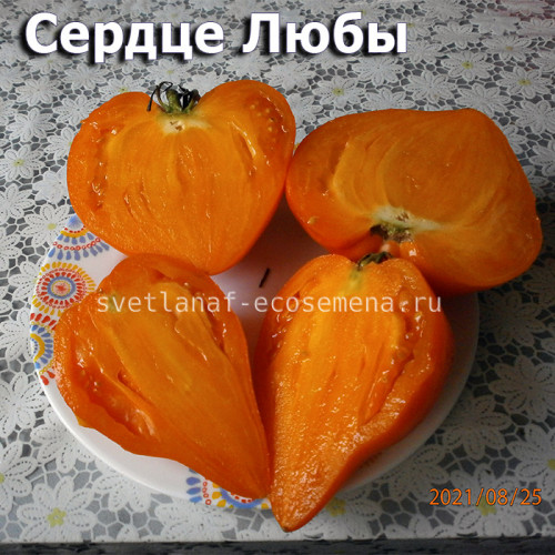 Сердце Любы Lyuba's Heart
