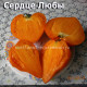 Сердце Любы Lyuba's Heart