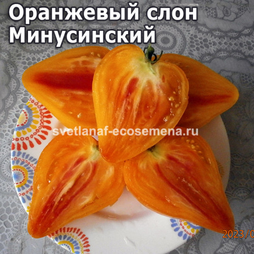 Оранжевый слон Минусинский 