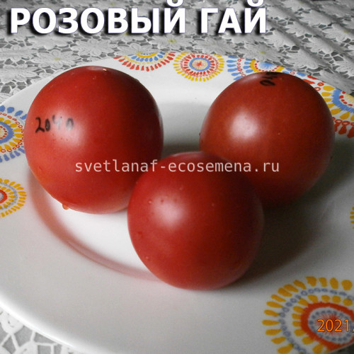 Розовый Гай Rozovyy Gay