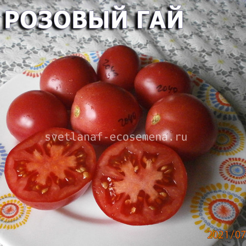 Розовый Гай Rozovyy Gay