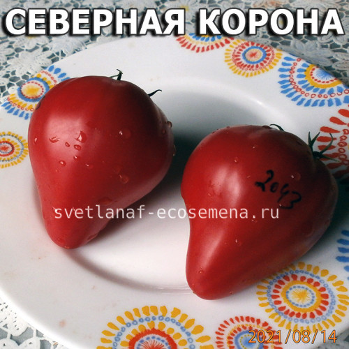 Северная Корона