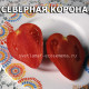 Северная Корона