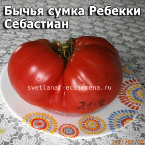 Бычья сумка Ребекки Себастиан  Rebecca Sebastian's bull bag