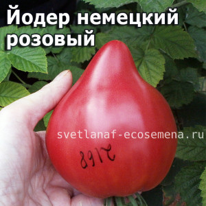 Yoder's German Pink Йодер немецкий розовый