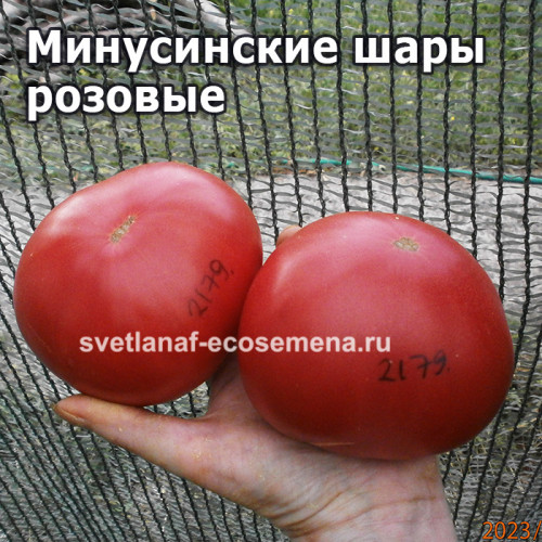 Минусинские шары розовые 