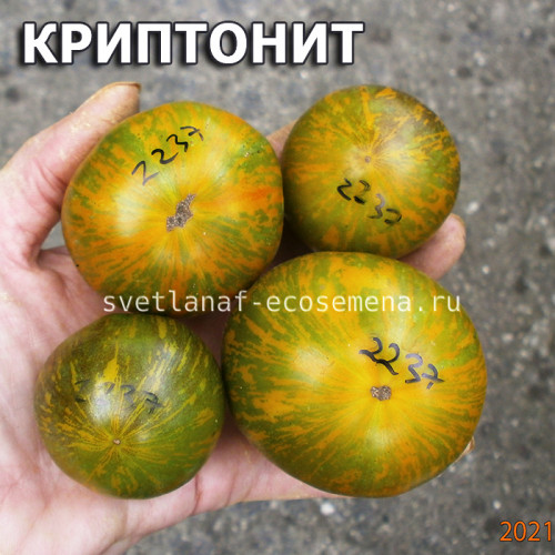 Криптонит (kryptonite)