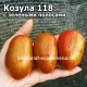 Козула 118 с зелеными полосами