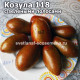 Козула 118 с зелеными полосами