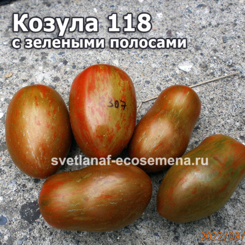 Козула 118 с зелеными полосами