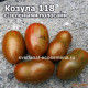 Козула 118 с зелеными полосами