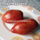 Леди мадонна, Lady Madonna