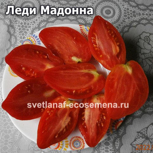 Леди мадонна, Lady Madonna