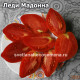 Леди мадонна, Lady Madonna