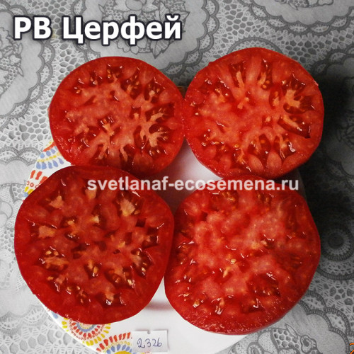 РВ Церфей  (RW Cephei)