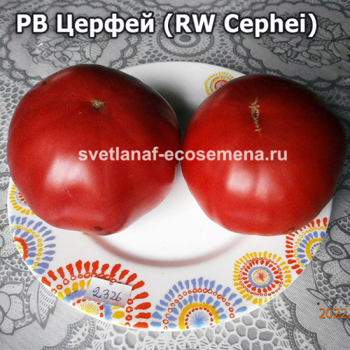 РВ Церфей  (RW Cephei)