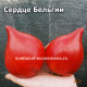 Сердце Бельгии (Belgian Heart)
