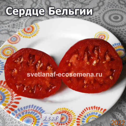 Сердце Бельгии (Belgian Heart)