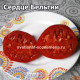 Сердце Бельгии (Belgian Heart)