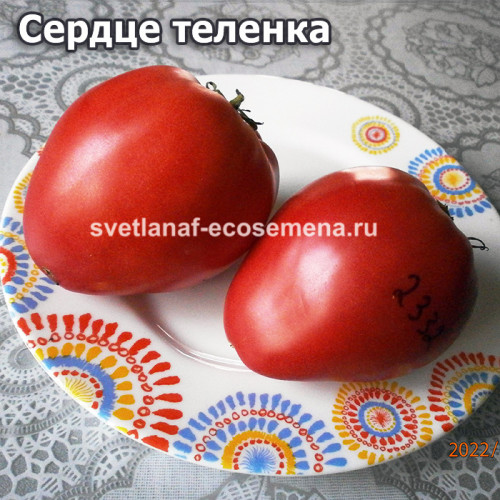 Сердце теленка