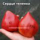 Сердце теленка