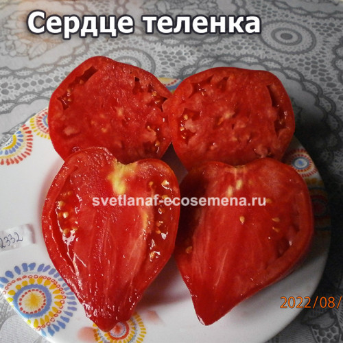 Сердце теленка
