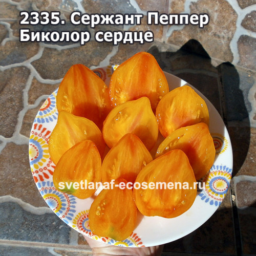 Sgt. Pepper’s Bicolor (Сержант Пеппер Биколор сердце)