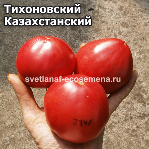 Тихоновский Казахстанский