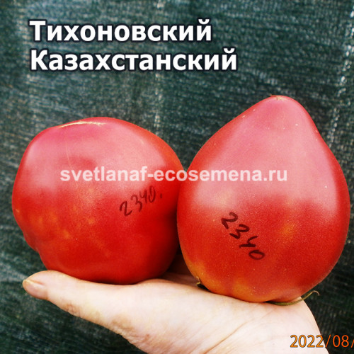 Тихоновский Казахстанский