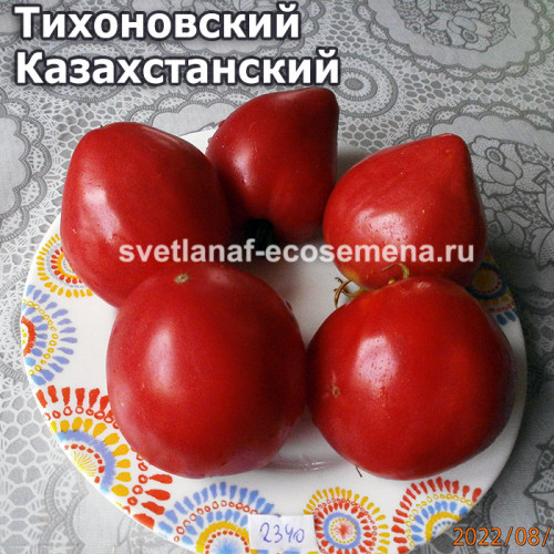 Тихоновский Казахстанский