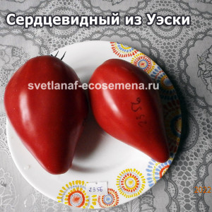 Сердцевидный из Уэски